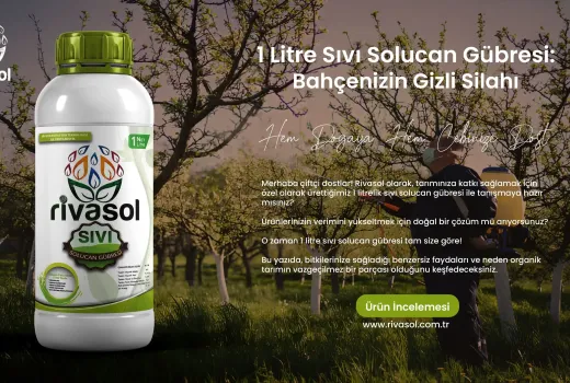 1 Litre Sıvı Solucan Gübresi: Bahçenizin Gizli Silahı