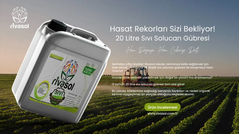 20 Litre Sıvı Solucan Gübresi: Hasat Rekorları Sizi Bekliyor! 20 Litre Sıvı Solucan Gübresi: Hasat Rekorları Sizi Bekliyor!