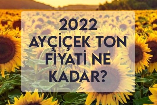 2022 Ayçiçek Ton Fiyatı Ne Kadar? Ayçiçek Alım Fiyatı ? 2022 Ayçiçek Ton Fiyatı Ne Kadar? Ayçiçek Alım Fiyatı ?