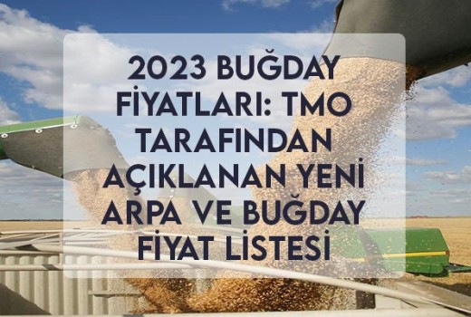 2023 Buğday Fiyatları: TMO Tarafından Açıklanan Yeni Arpa ve Buğday Fiyat Listesi 2023 Buğday Fiyatları: TMO Tarafından Açıklanan Yeni Arpa ve Buğday Fiyat Listesi