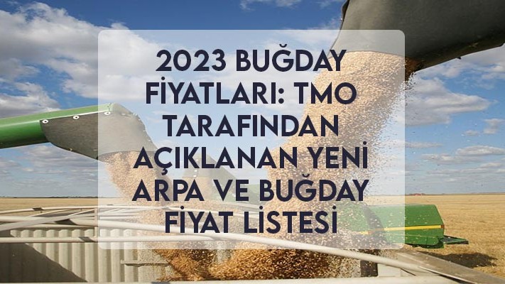 2023 Buğday Fiyatları: TMO Tarafından Açıklanan Yeni Arpa ve Buğday Fiyat Listesi 2023 Buğday Fiyatları: TMO Tarafından Açıklanan Yeni Arpa ve Buğday Fiyat Listesi