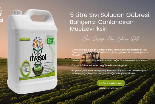 5 Litre Sıvı Solucan Gübresi: Bahçenizi Canlandıran Mucizevi İksir!