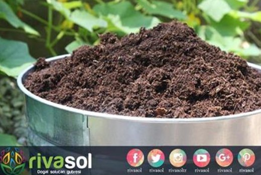 Vermikompostun Tarımda Kullanım Olanakları | Rivasol