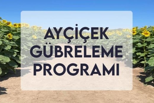Ayçiçek Gübreleme Programı Ayçiçek Gübreleme Programı