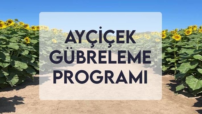 Ayçiçek Gübreleme Programı Ayçiçek Gübreleme Programı