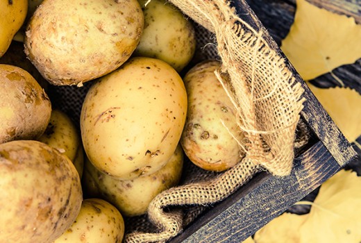 Azotlu Gübre ve Solucan Humusunun Patates Yumrusunda (Agria CV.) Vej Azotlu Gübre ve Solucan Humusunun Patates Yumrusunda (Agria CV.) Vej