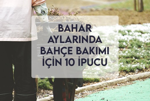 Bahar Aylarında Bahçe Bakımı İçin 10 İpucu Bahar Aylarında Bahçe Bakımı İçin 10 İpucu