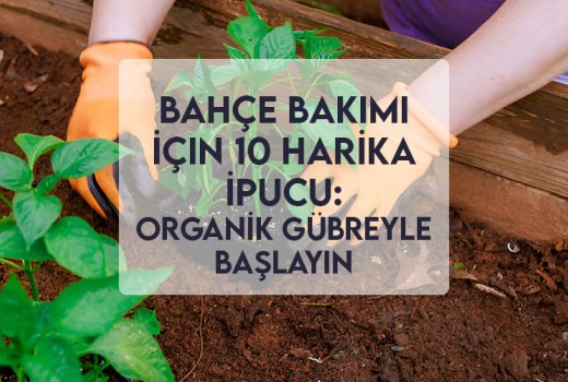 Bahçe Bakımı İçin 10 Harika İpucu: Organik Gübreyle Başlayın Bahçe Bakımı İçin 10 Harika İpucu: Organik Gübreyle Başlayın