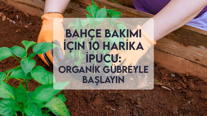 Bahçe Bakımı İçin 10 Harika İpucu: Organik Gübreyle Başlayın