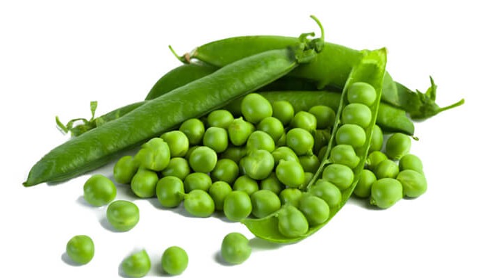 Bezelye Solucan Gübresi Nasıl Kullanılır? Bezelye Solucan Gübresi Nasıl Kullanılır?