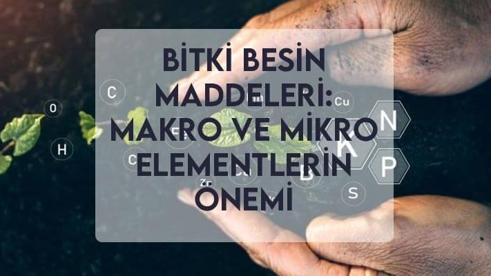 Bitki Besin Maddeleri: Makro ve Mikro Elementlerin Önemi