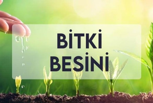 Bitki Besini Bitki Besini