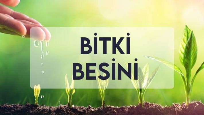 Bitki Besini Bitki Besini