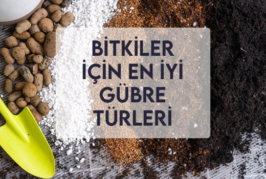 Bitkiler İçin En İyi Gübre Türleri Bitkiler İçin En İyi Gübre Türleri
