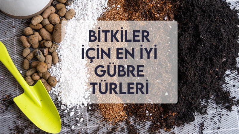 Bitkiler İçin En İyi Gübre Türleri Bitkiler İçin En İyi Gübre Türleri