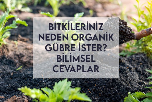 Bitkileriniz Neden Organik Gübre İster? Bilimsel Cevaplar