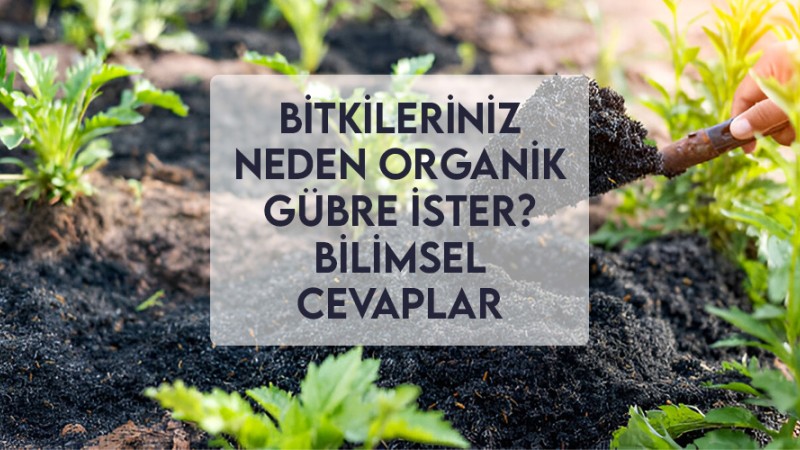 Bitkileriniz Neden Organik Gübre İster? Bilimsel Cevaplar