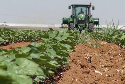 Bitkisel üretimin vazgeçilmez girdisi; Gübre