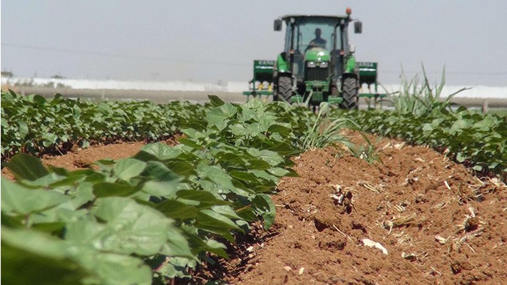 Bitkisel üretimin vazgeçilmez girdisi; Gübre Bitkisel üretimin vazgeçilmez girdisi; Gübre