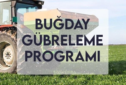 Buğday Gübreleme Programı Buğday Gübreleme Programı
