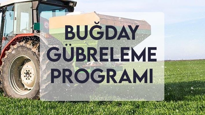 Buğday Gübreleme Programı