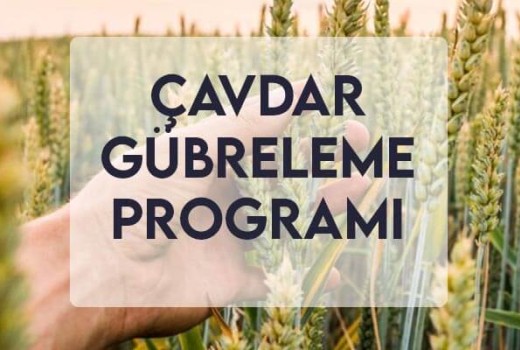 Çavdar Gübreleme Programı Çavdar Gübreleme Programı