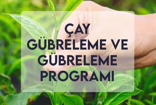 Çay Gübreleme ve Gübreleme Programı Çay Gübreleme ve Gübreleme Programı