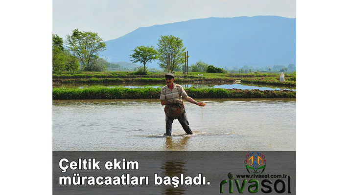 2020 Yılı Çeltik Ekim Müracaatları Başladı