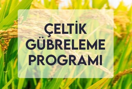 Çeltik Gübreleme Programı Çeltik Gübreleme Programı