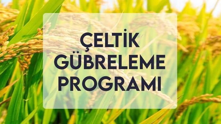 Çeltik Gübreleme Programı