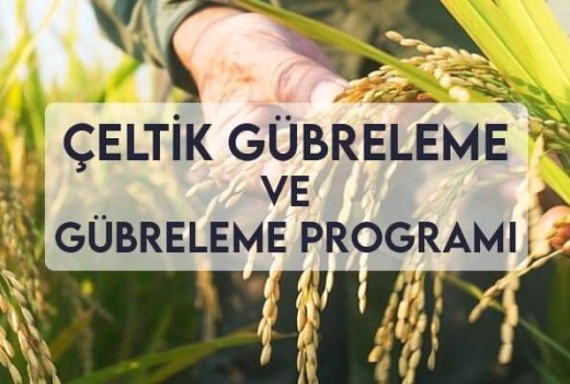 Çeltik Gübreleme ve Gübreleme Programı Çeltik Gübreleme ve Gübreleme Programı