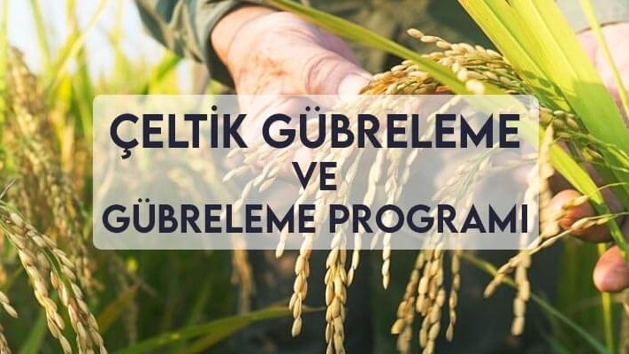 Çeltik Gübreleme ve Gübreleme Programı Çeltik Gübreleme ve Gübreleme Programı