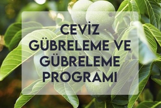 Ceviz Gübreleme ve Gübreleme Programı Ceviz Gübreleme ve Gübreleme Programı