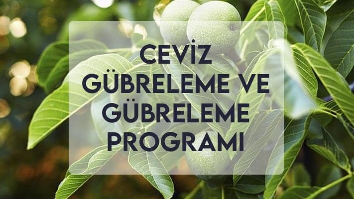 Ceviz Gübreleme ve Gübreleme Programı Ceviz Gübreleme ve Gübreleme Programı