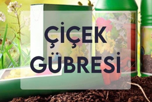 Çiçek Gübresi Çiçek Gübresi
