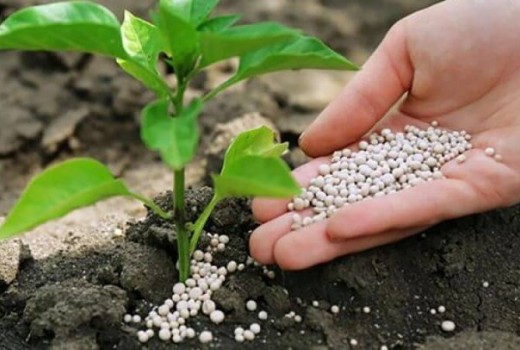 Çiftçiye Koronavirüs Değil Kimyasal Gübre Darbesi Çiftçiye Koronavirüs Değil Kimyasal Gübre Darbesi