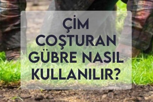 Çim Coşturan Gübre Nasıl Kullanılır? Çim Coşturan Gübre Nasıl Kullanılır?
