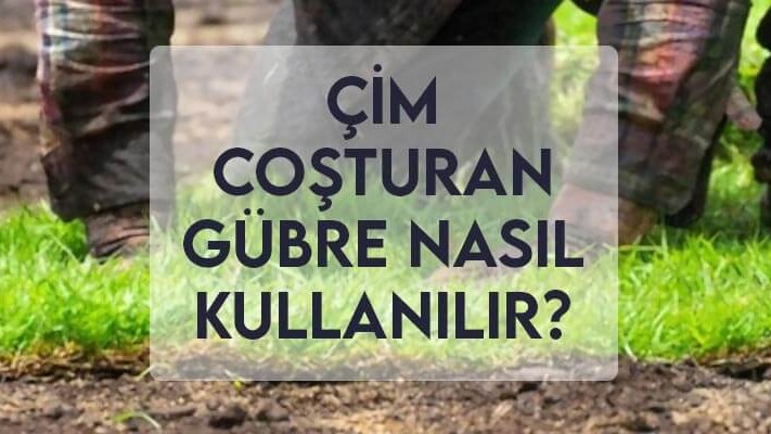 Çim Coşturan Gübre Nasıl Kullanılır? Çim Coşturan Gübre Nasıl Kullanılır?