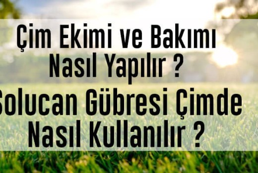 Çimde Solucan Gübresi Nasıl Kullanılır? Bakımı Nasıl Yapılır? Çimde Solucan Gübresi Nasıl Kullanılır? Bakımı Nasıl Yapılır?