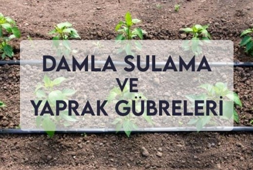 Damla Sulama ve Yaprak Gübreleri Damla Sulama ve Yaprak Gübreleri