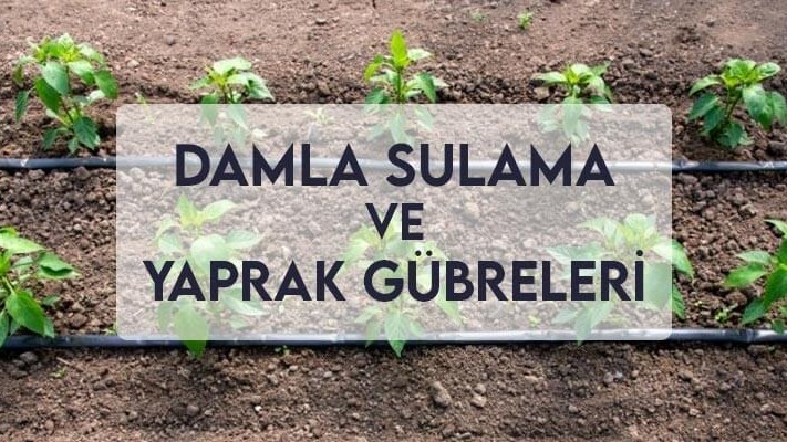 Damla Sulama ve Yaprak Gübreleri Damla Sulama ve Yaprak Gübreleri