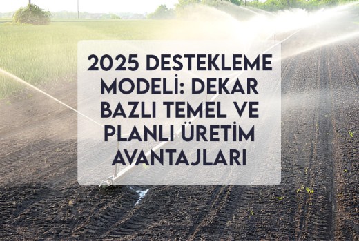 2025 Destekleme Modeli: Dekar Bazlı Temel ve Planlı Üretim Avantajları 2025 Destekleme Modeli: Dekar Bazlı Temel ve Planlı Üretim Avantajları