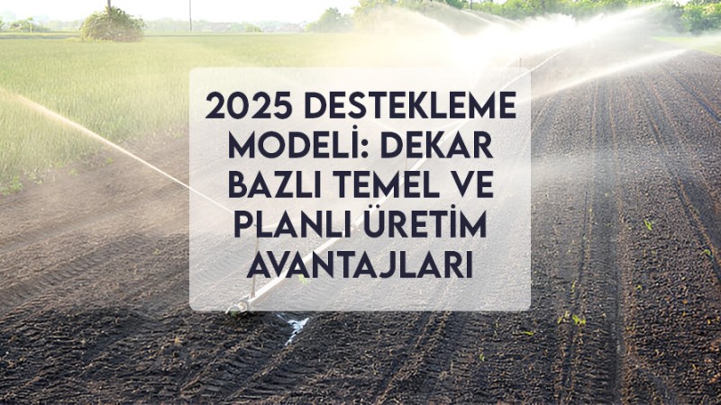 2025 Destekleme Modeli: Dekar Bazlı Temel ve Planlı Üretim Avantajları