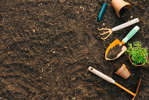 Doğal Solucan Gübresi ve Humus Maddenin Önemi Doğal Solucan Gübresi ve Humus Maddenin Önemi
