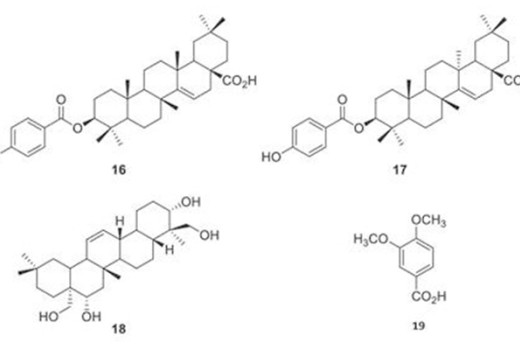 Doğal Solucan Gübresinin Çoklu Element Yapısının Farkı Doğal Solucan Gübresinin Çoklu Element Yapısının Farkı