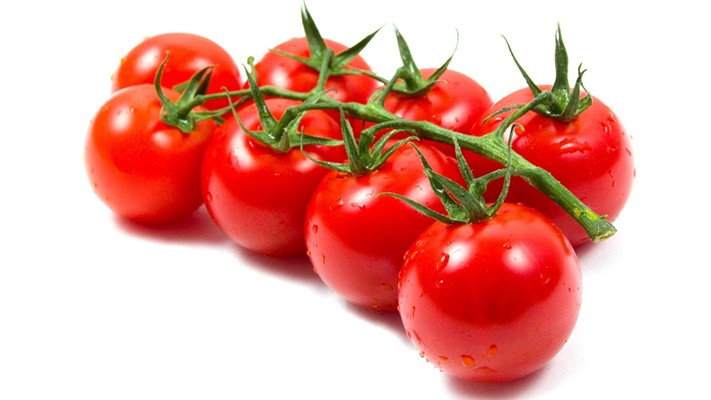 Domates Yetiştiriciliğinde Solucan Gübresi Domates Yetiştiriciliğinde Solucan Gübresi