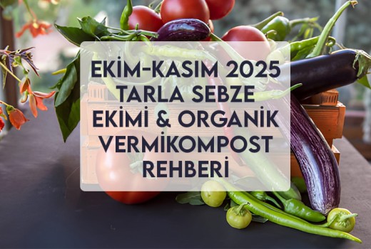 Ekim-Kasım 2025 Tarla Sebze Ekimi & Organik Vermikompost Rehberi