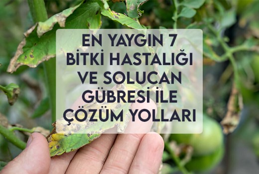 En Yaygın 7 Bitki Hastalığı ve Solucan Gübresi ile Çözüm Yolları En Yaygın 7 Bitki Hastalığı ve Solucan Gübresi ile Çözüm Yolları