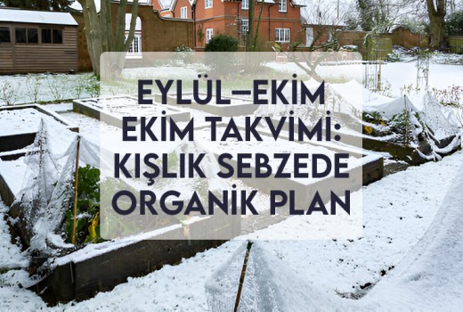 Eylül–Ekim Ekim Takvimi: Kışlık Sebzede Organik Plan Eylül–Ekim Ekim Takvimi: Kışlık Sebzede Organik Plan