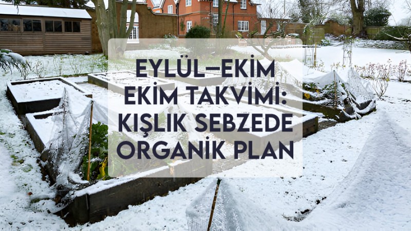 Eylül–Ekim Ekim Takvimi: Kışlık Sebzede Organik Plan